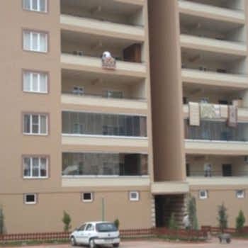 Cambalkon Fotoğrafları