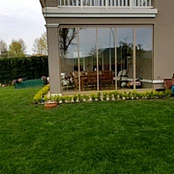 Cambalkon Uzmanı Albert Genau 